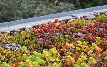 the cost of Petrockstowe green roof installation
