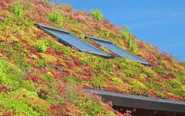 Petrockstowe living roof systems