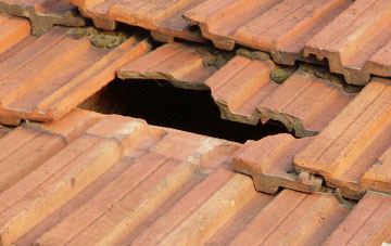 roof repair Petrockstowe, Devon